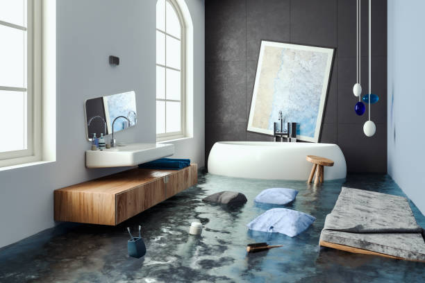 Best Water damage cleanup near me  in Monona, IA