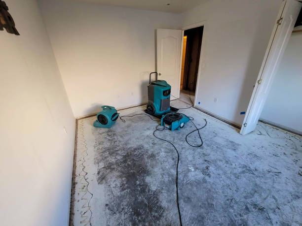 Best Flood damage cleanup  in Monona, IA