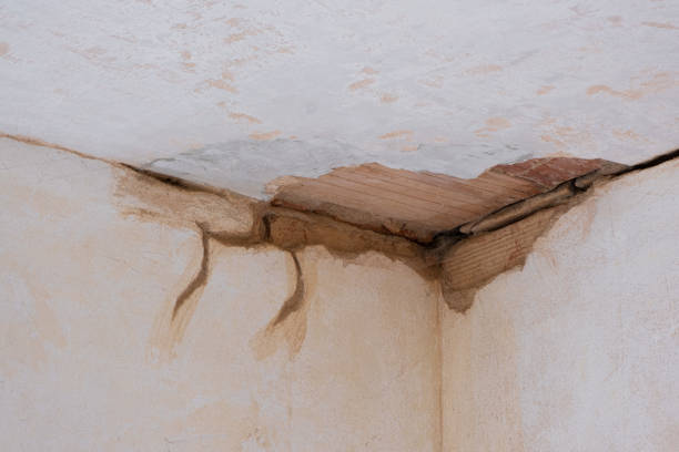 Best Water damage restoration specialists  in Monona, IA