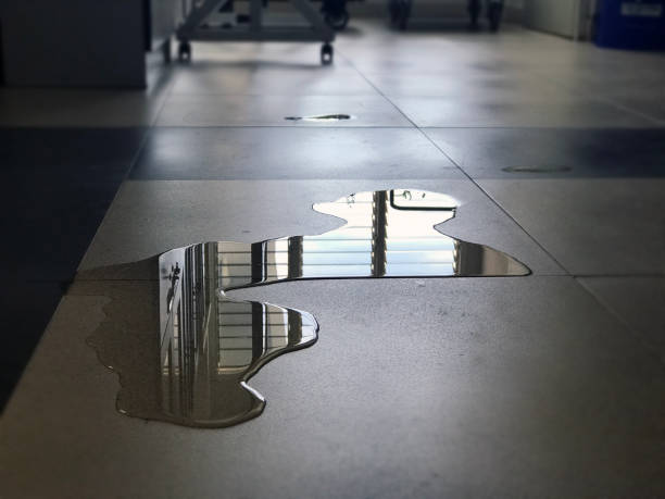 Best Sewage cleanup and water damage restoration  in Monona, IA