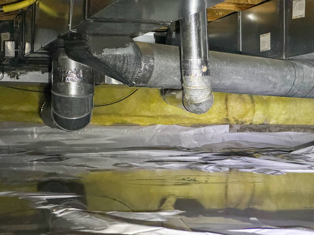 Best Carpet water damage restoration  in Monona, IA