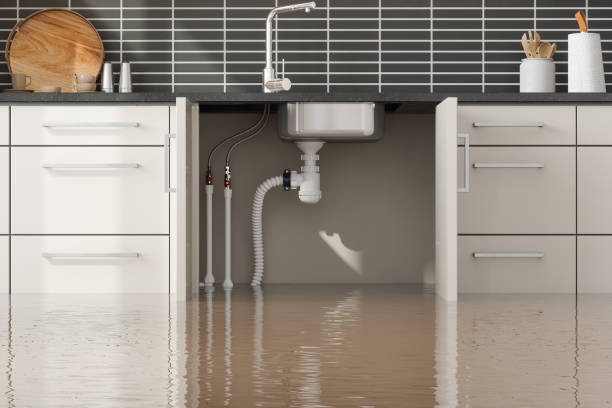 Best Emergency water damage restoration  in Monona, IA