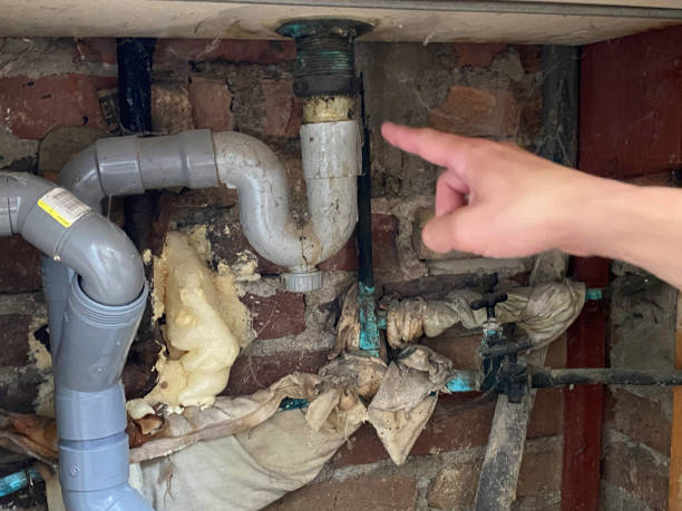 Best Flood restoration services  in Monona, IA